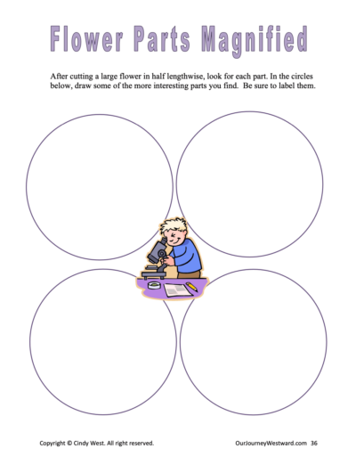 sample page from a science curriculum for homeschoolers
